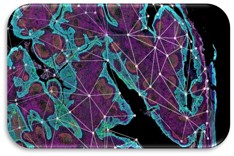 Hyperspectral Imaging